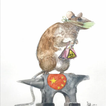 Coronavirus – China