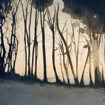 Internationaler Tag des Waldes