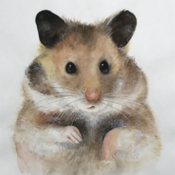 Artensterben – UNO-Bericht