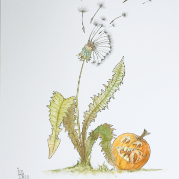 Pusteblume im Herbst