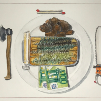 Abholzung im Hambacher Forst